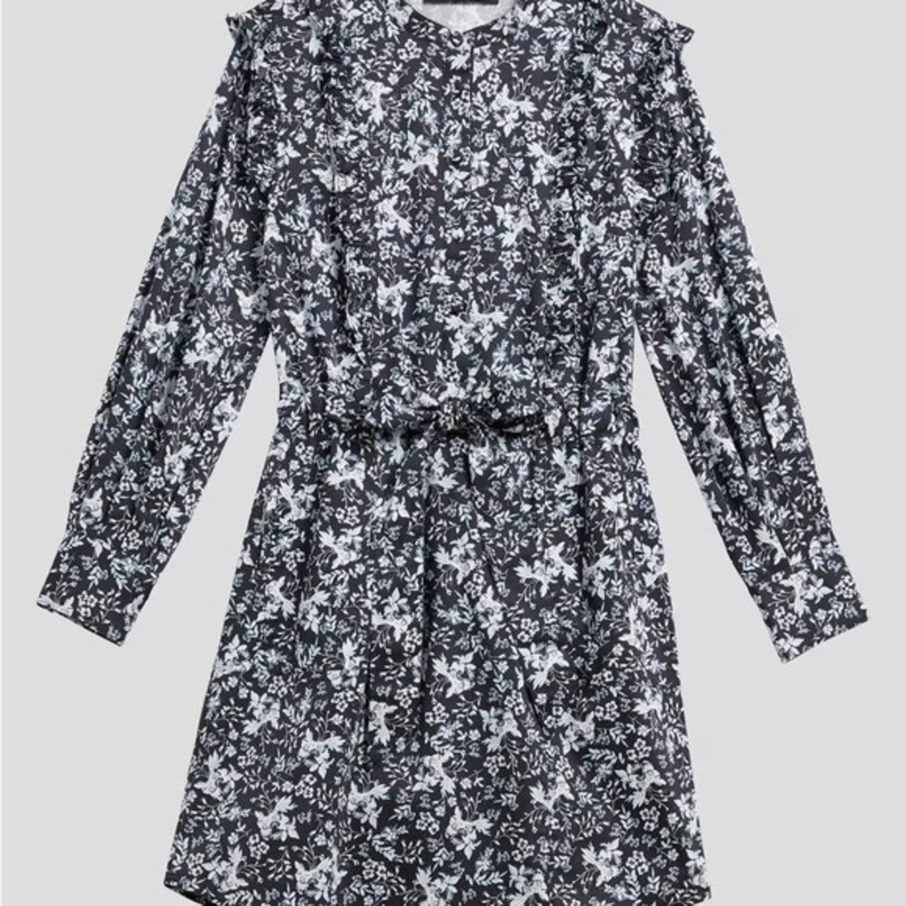 Erdem x Universal Standard Primrose Ruffle Shirt Dress Floral Size XS